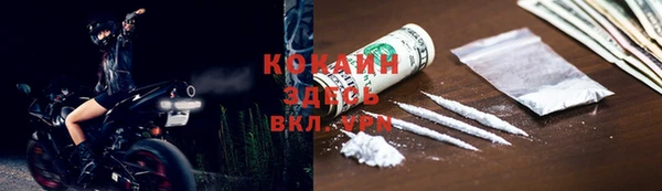 эйфоретик Вяземский