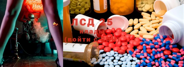 стаф Горнозаводск